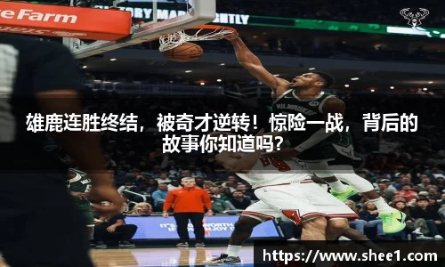 天博tb手机网页版登录