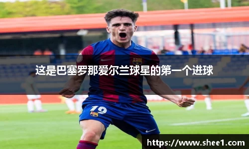 天博tb官网版