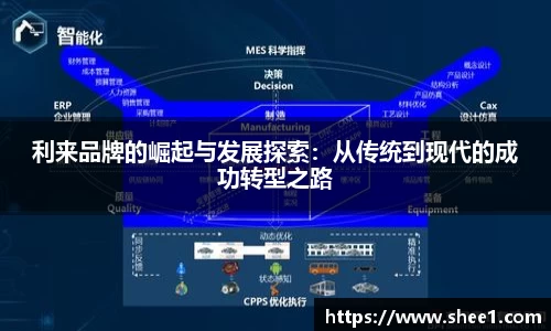 利来品牌的崛起与发展探索：从传统到现代的成功转型之路