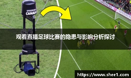 观看直播足球比赛的隐患与影响分析探讨