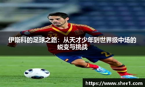 伊斯科的足球之路：从天才少年到世界级中场的蜕变与挑战