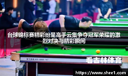 台球锦标赛精彩纷呈高手云集争夺冠军荣耀的激烈对决与精彩瞬间